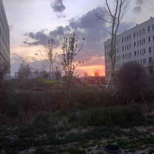 岳的大肥坹一区二区三区四区
